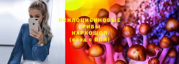прущие грибы Пересвет
