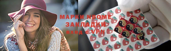 прущие грибы Пересвет