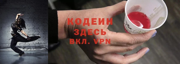 прущие грибы Пересвет
