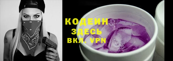 прущие грибы Пересвет