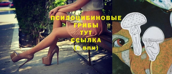 прущие грибы Пересвет