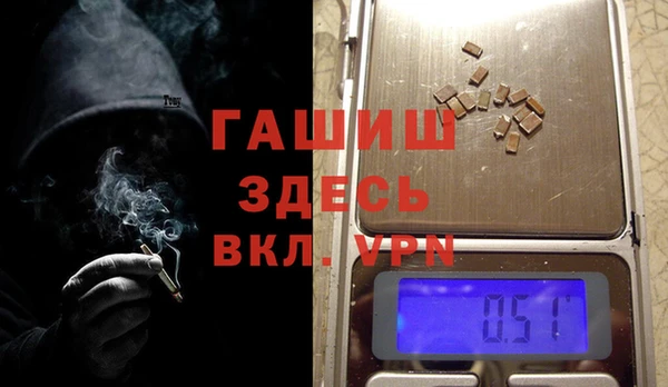 стафф Гатчина