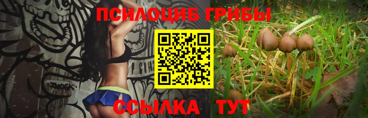 Галлюциногенные грибы ЛСД Ахтубинск